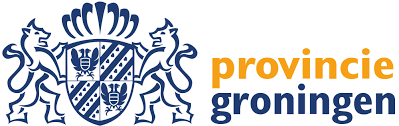 provincie groningen Flag